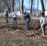 Трудовой весенний энтузиазм - Городской округ Кинель