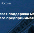 Вебинар по инструментам финансовой поддержки предпринимателей - Городской округ Кинель