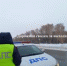Дорожная сводка ГИБДД - Городской округ Кинель