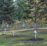 ПРЕСС-РЕЛИЗ РОСРЕЕСТРА - Городской округ Кинель