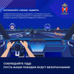 Как избежать столкновения с дикими животными на загородных трассах
