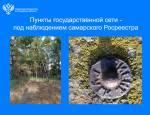 Пункты государственных сетей – под пристальным наблюдением